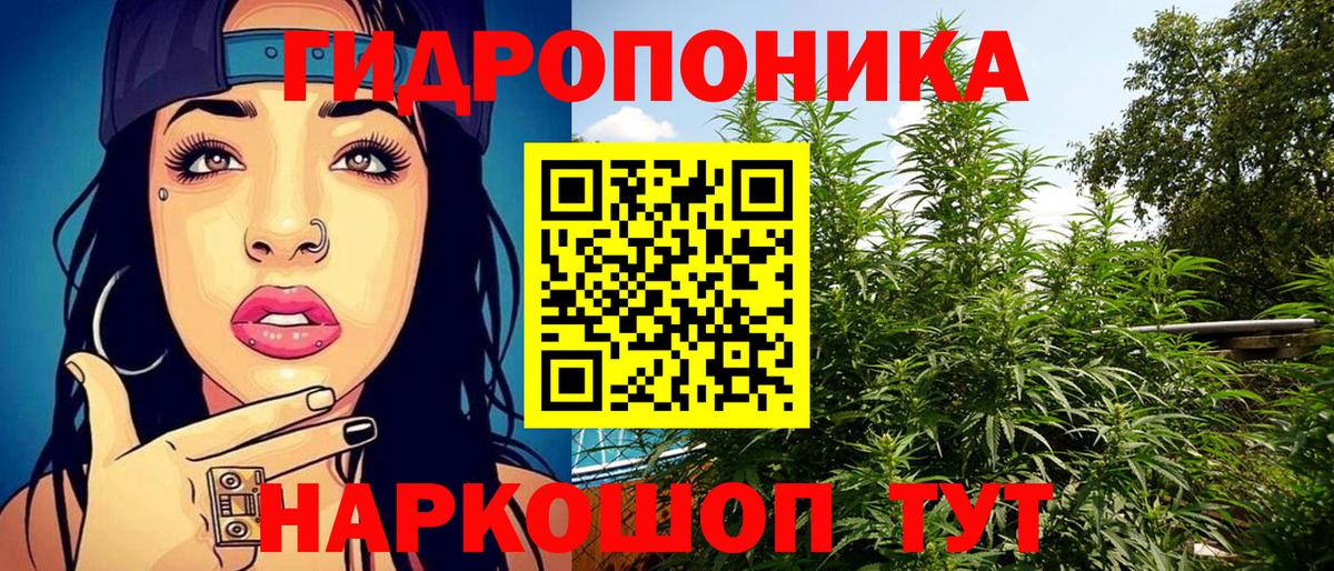 Шишки марихуана THC 21% Владимир